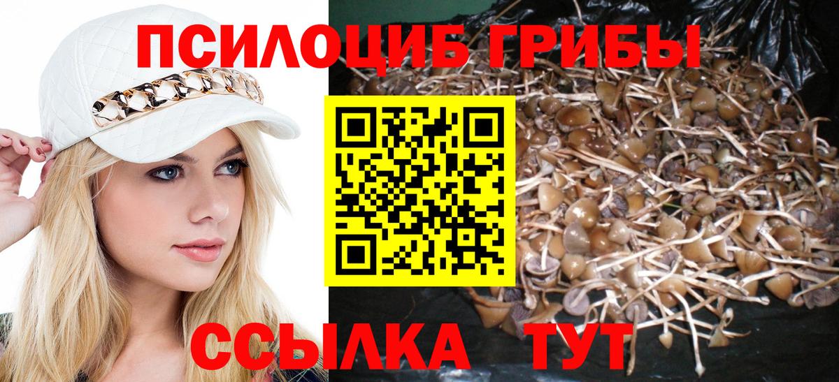 Псилоцибиновые грибы прущие грибы Таганрог
